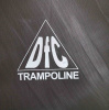 Батут Trampoline Fitness «DFC» диаметр - 1.52 м (5 FT)